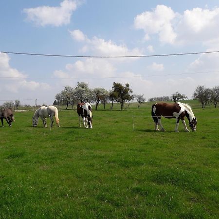 Gite La Besse, Claudon Zewnętrze zdjęcie