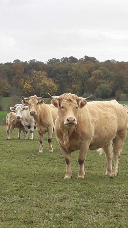 Gite La Besse, Claudon Zewnętrze zdjęcie