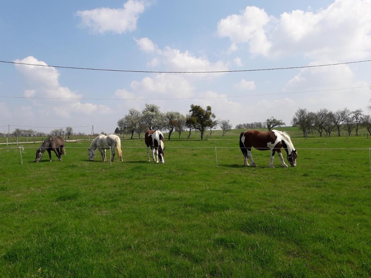 Gite La Besse, Claudon Zewnętrze zdjęcie